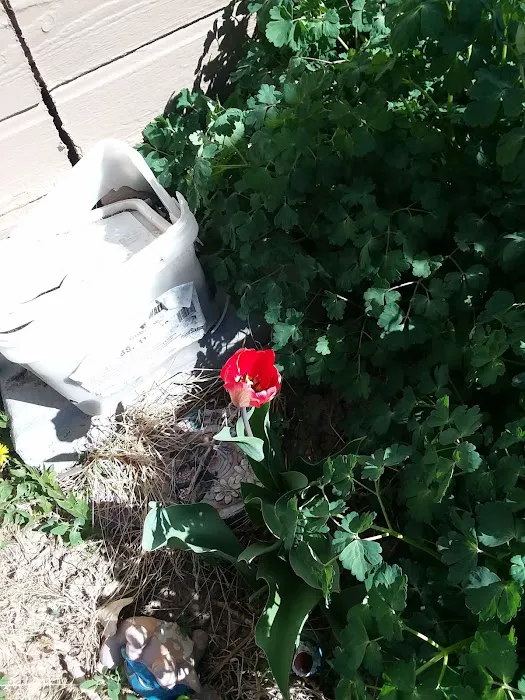 Paradise Valley Park Picture 5