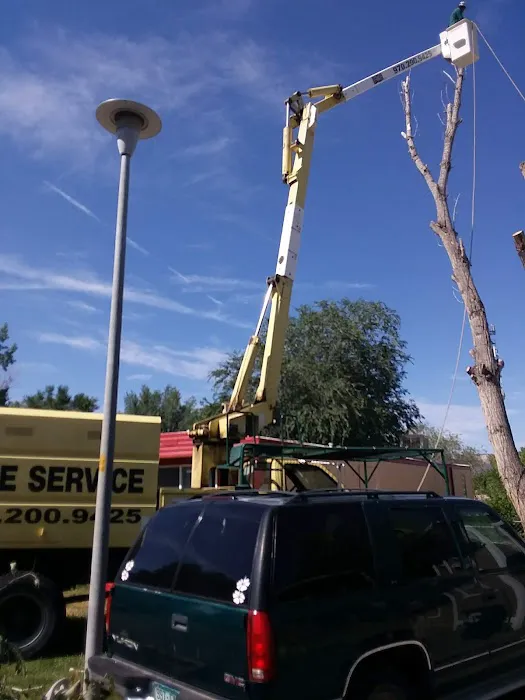 Paradise Valley Park Picture 8