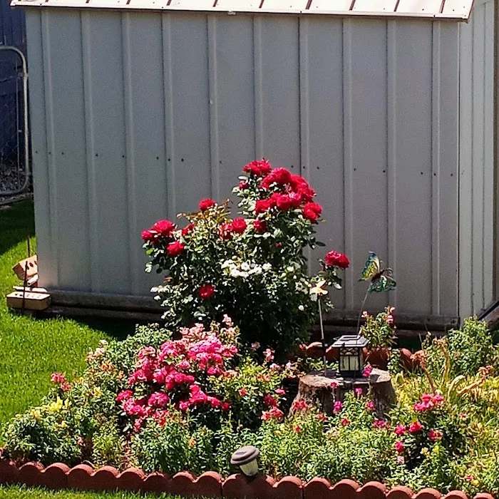 Paradise Valley Park Picture 10