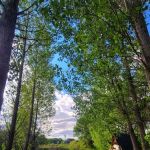 Uncompahgre River RV Park