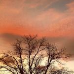 Grateful Flats RV and Campground