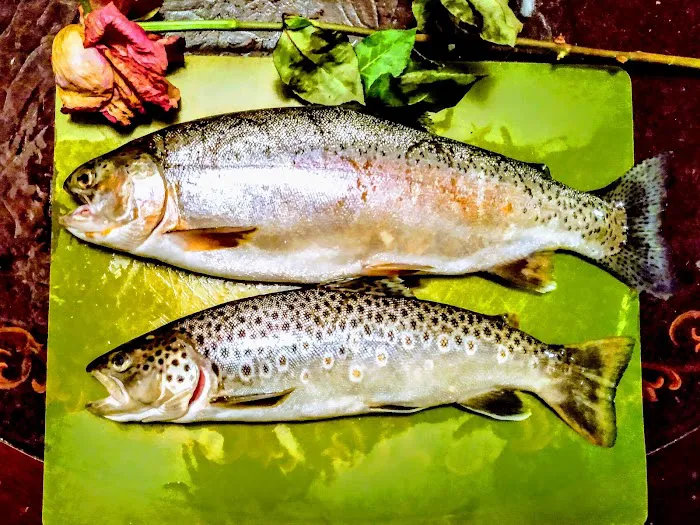 Cottonwood Mobile Home Park Picture 2