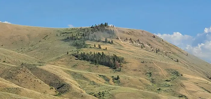 Blue Mesa Point Picture 8