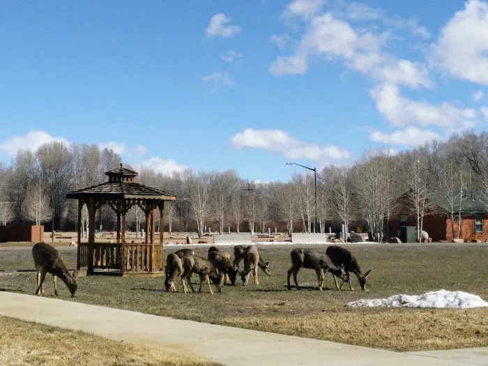 Palisades Senior RV Park Picture 6