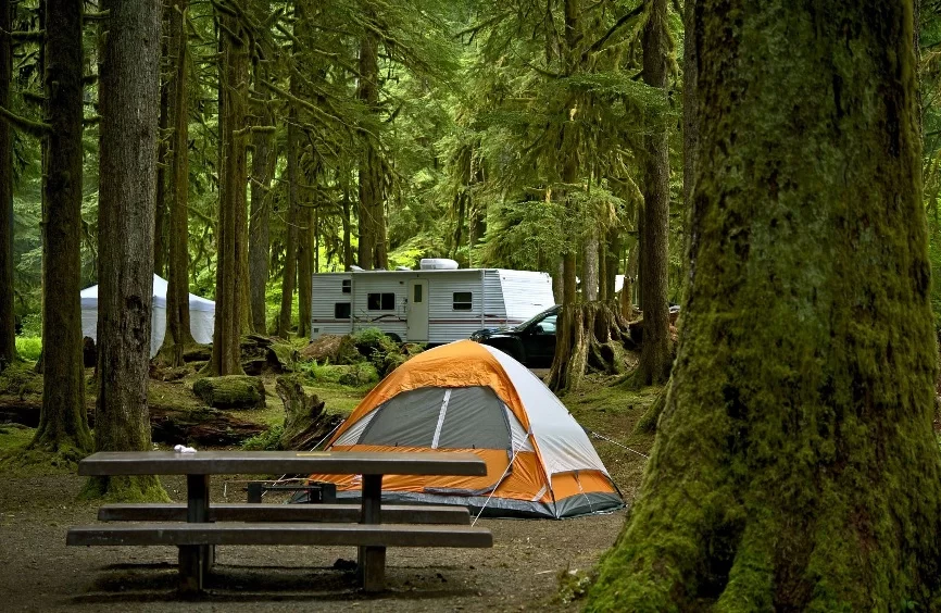 Camping Blog | Tips, Gear Reviews & Campground Guides – Camping-Rural