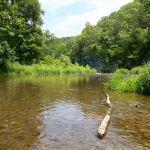 10 Must-Visit Campgrounds in the Midwest for Your Next Outdoor Adventure
