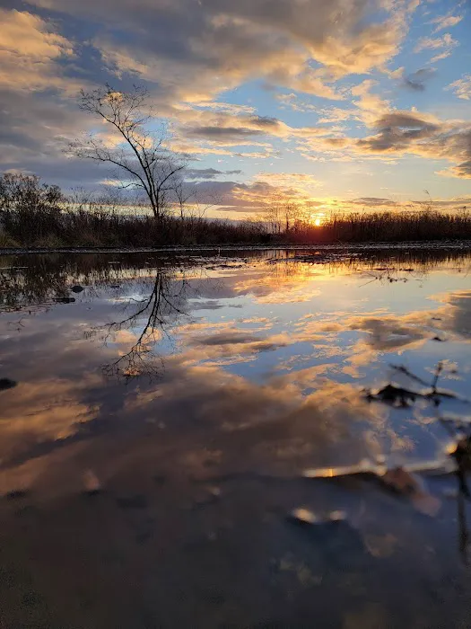 Fort Wadsworth Campsite Picture 10