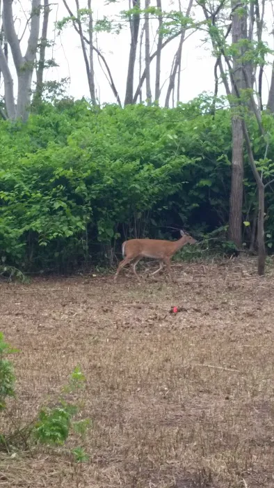 Camp Gateway - Staten Island Picture 6