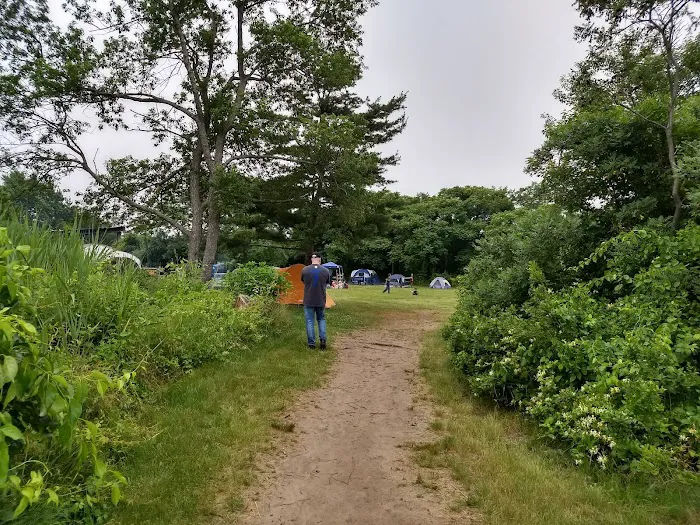 Camp Gateway Brooklyn Tamarak and Goldenrod Picture 9