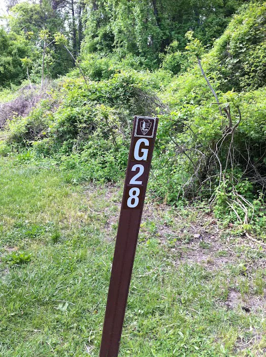 Camp Gateway Brooklyn Tamarak and Goldenrod Picture 8