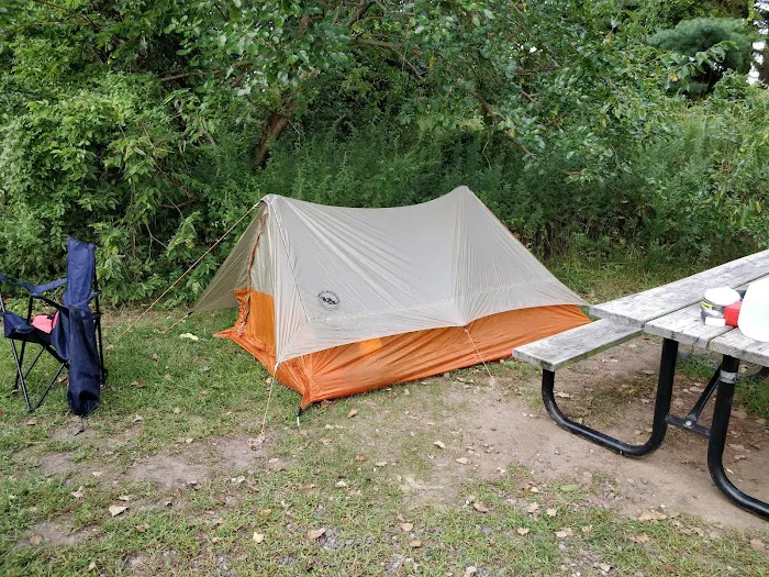 Camp Gateway Brooklyn Tamarak and Goldenrod Picture 5
