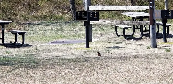 Camp Gateway: Wiley Post A Picture 4