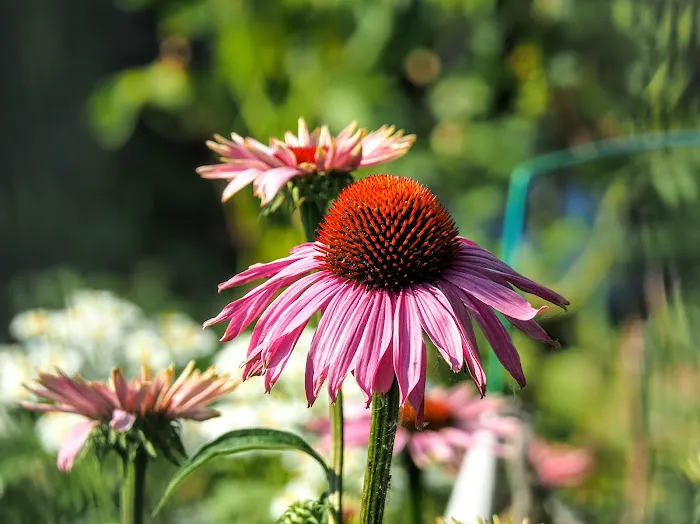 Ecology Village Picture 3