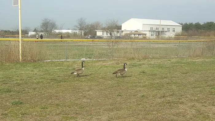 Ecology Village Picture 9