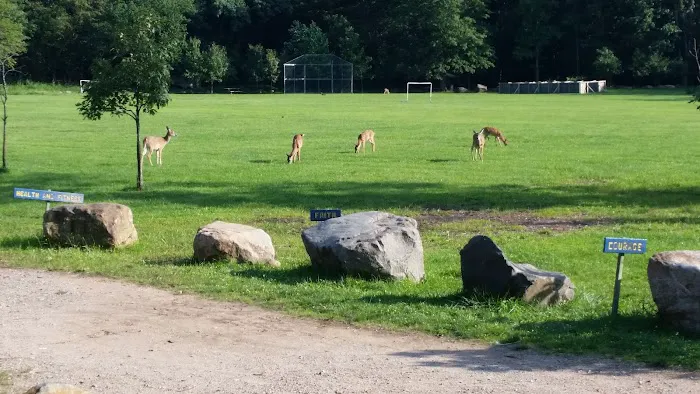 Pouch Camporee Field Picture 5