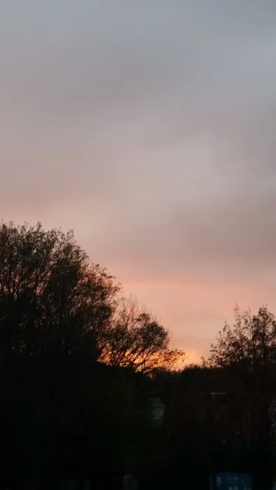 Pouch Camporee Field Picture 9