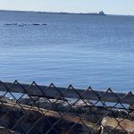 Camp Gateway - Sandy Hook