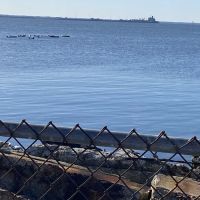 Camp Gateway - Sandy Hook ico