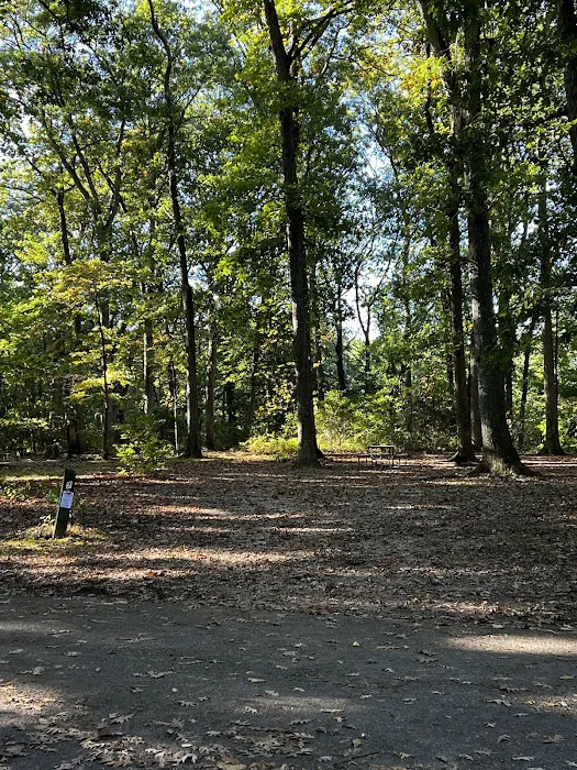 Family Camping Area Picture 8