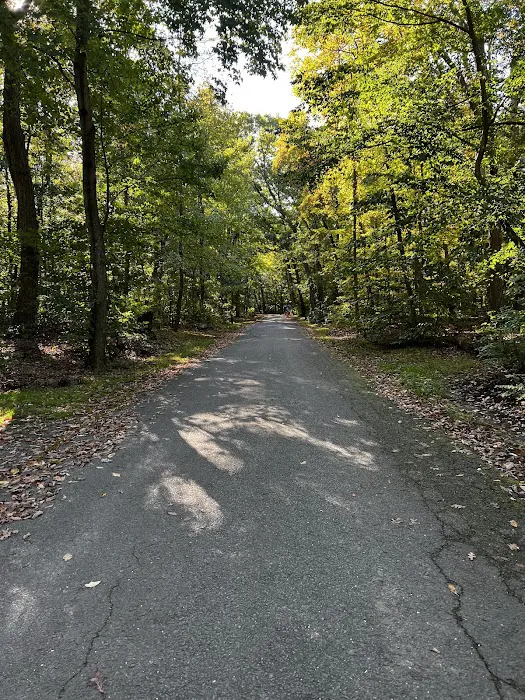 Family Camping Area Picture 6