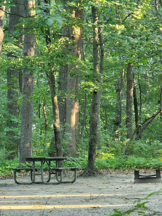 Family Camping Area Picture 7