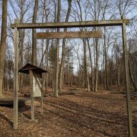 South Carolina Site 12 ico