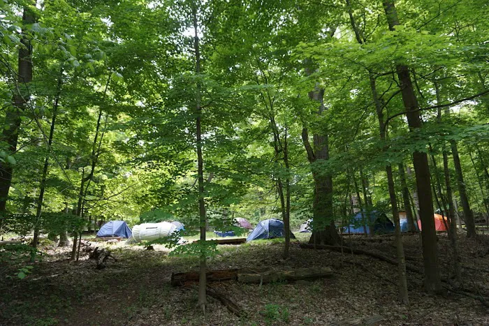 North Carolina Site 11 Picture 1
