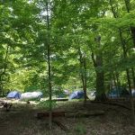 North Carolina Site 11