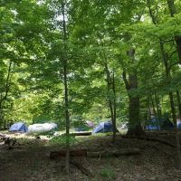 North Carolina Site 11 ico