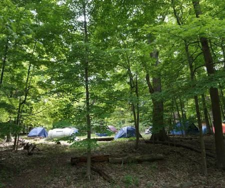 North Carolina Site 11