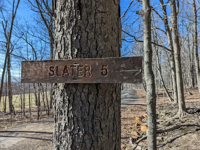 Slater 6 Lean-tos Picture 6