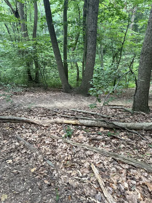 Thompson Park Scout Reservation Picture 2