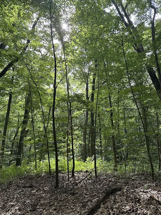 Thompson Park Scout Reservation Picture 4