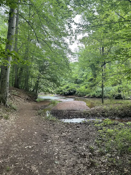 Thompson Park Scout Reservation Picture 8