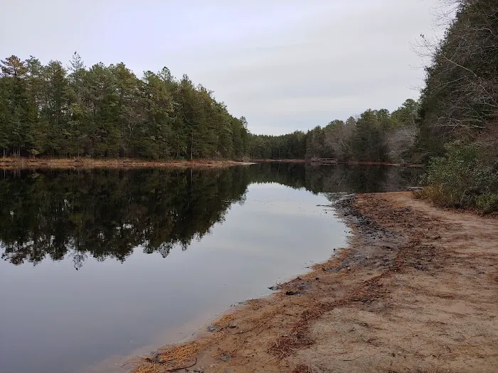 Brendan T Byrne State Forest Campground Picture 2