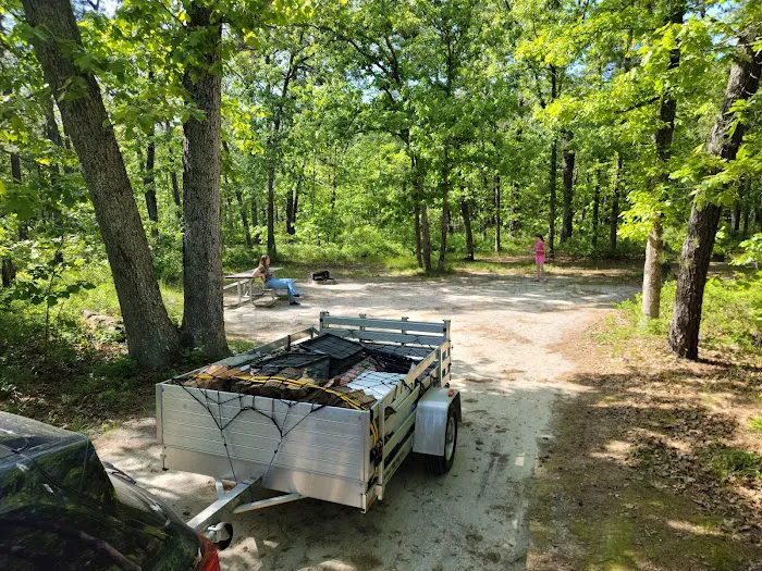 Brendan T Byrne State Forest Campground Picture 8