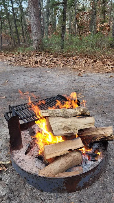 Brendan T Byrne State Forest Campground Picture 3