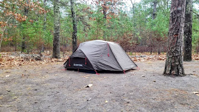 Brendan T Byrne State Forest Campground Picture 4