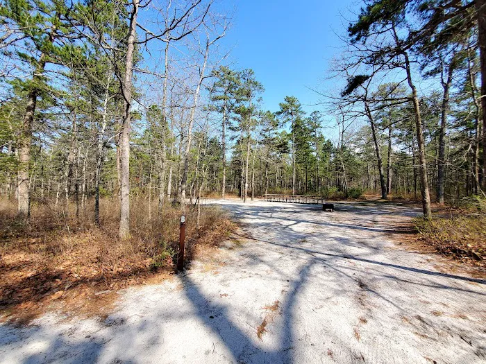 Brendan T Byrne State Forest Campground Picture 10