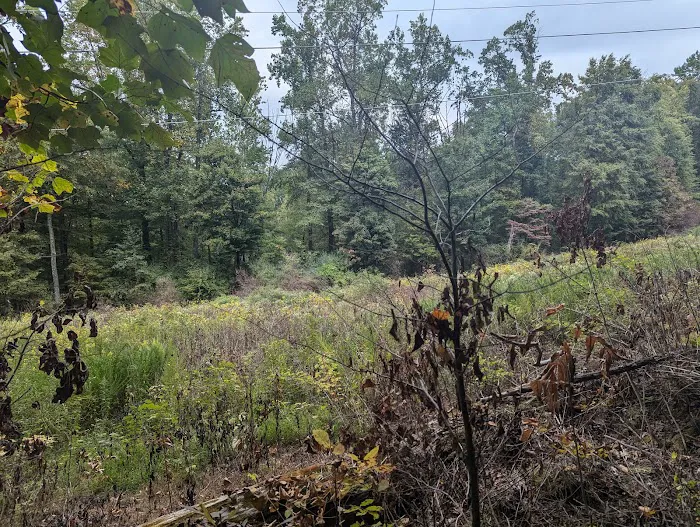 Voorhees State Park Picture 10