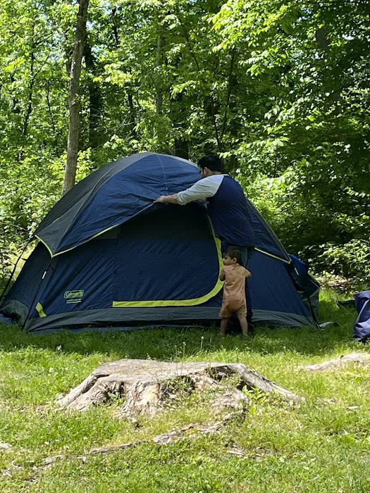 Voorhees State Park Picture 7