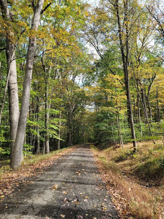 Voorhees State Park Picture 8