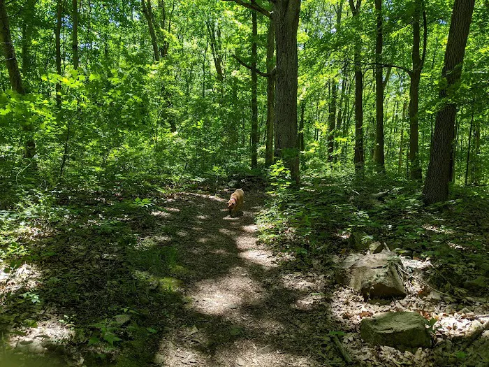 Voorhees State Park Campground Picture 3