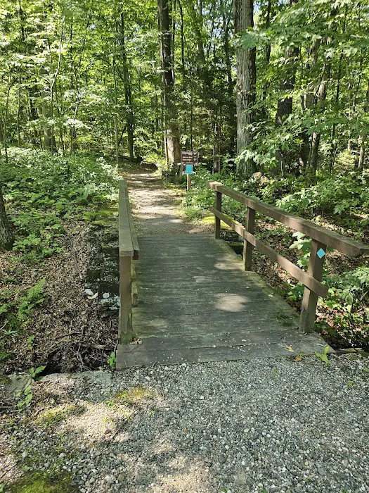 Voorhees State Park Campground Picture 2