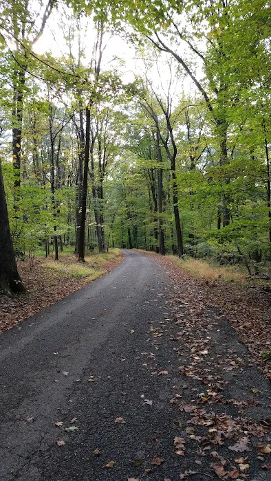Voorhees State Park Campground Picture 6