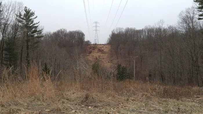 Voorhees State Park Campground Picture 8