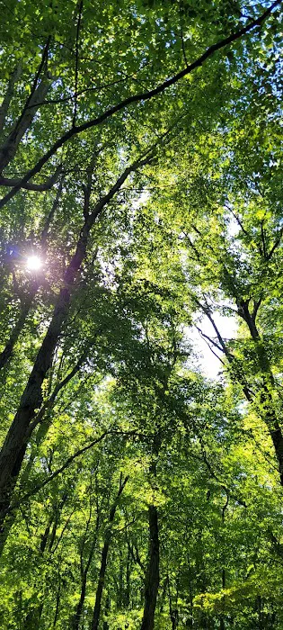 Voorhees State Park Campground Picture 9