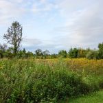 Kittatinny Valley Campsite