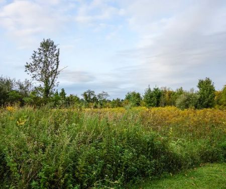 Kittatinny Valley Campsite