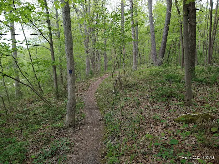 Kittatinny Valley Campsite Picture 9